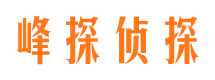 连平寻人公司